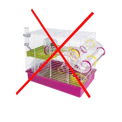 hamsterlivr|Budget hamsterkooi – vind hier een groot betaalbaar hamsterverblijf